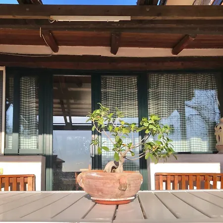 Casa L'ulivo بيت للعطل