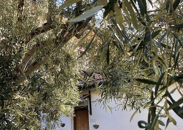 Tatil Evi Casa L'ulivo